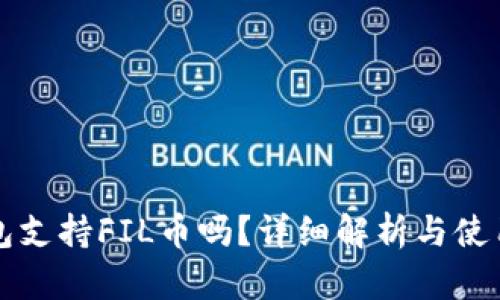 TP钱包支持FIL币吗？详细解析与使用指南