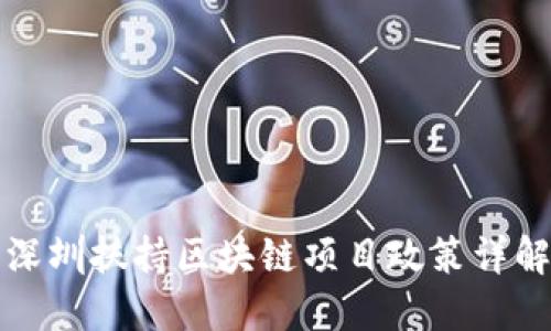 深圳扶持区块链项目政策详解