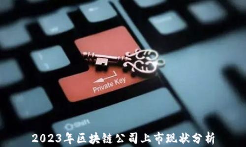 
2023年区块链公司上市现状分析