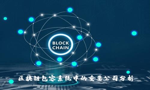 区块链包容系统中的重要公司分析