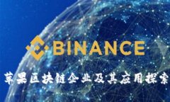 苹果区块链企业及其应用探索