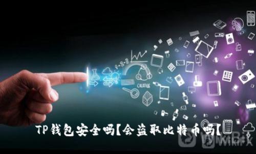 TP钱包安全吗？会盗取比特币吗？