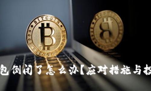 如果TP钱包倒闭了怎么办？应对措施与投资者保护