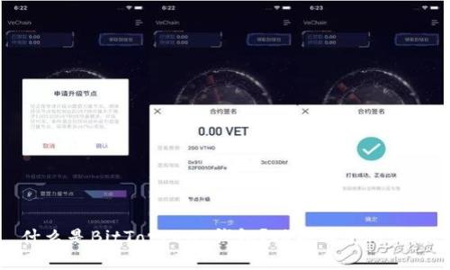 什么是BitTorrent钱包？功能与使用详解