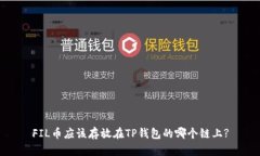 FIL币应该存放在TP钱包的哪