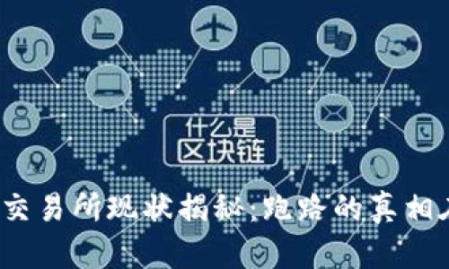 TP钱包交易所现状揭秘：跑路的真相在哪里？