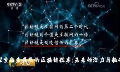 探索尚未成熟的区块链技
