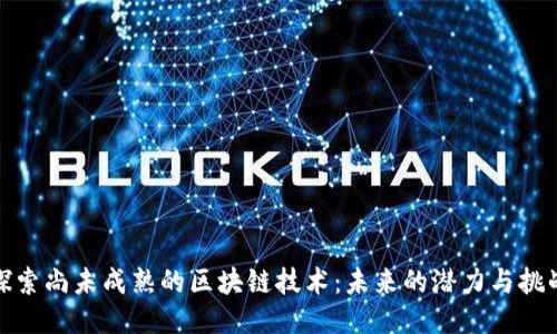 探索尚未成熟的区块链技术：未来的潜力与挑战