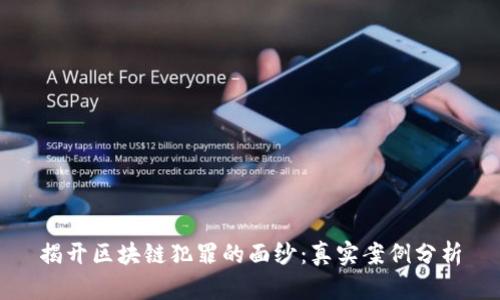 揭开区块链犯罪的面纱：真实案例分析
