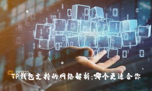 TP钱包支持的网络解析：哪个更适合你