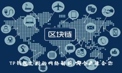 TP钱包支持的网络解析：哪