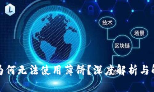 TP钱包为何无法使用薄饼？深度解析与解决方案