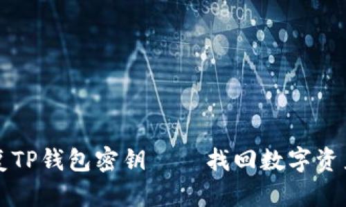 如何恢复TP钱包密钥——找回数字资产的希望