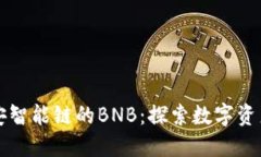 TP钱包与币安智能链的BN