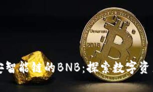 TP钱包与币安智能链的BNB：探索数字资产的无限可能