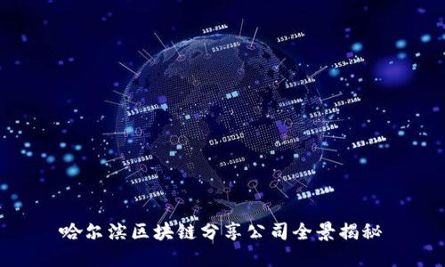 哈尔滨区块链分享公司全景揭秘