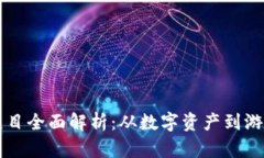 区块链小球项目全面解析
