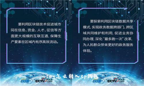 feg怎么转入tp钱包