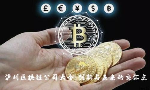 泸州区块链公司大全：创新与未来的交汇点