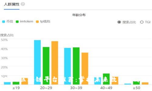 全球最新区块链平台推荐：掌握未来数字经济的机会