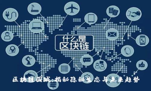 区块链围城：揭秘隐秘生态与未来趋势