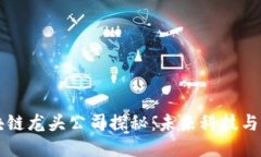 深圳地区区块链龙头公司