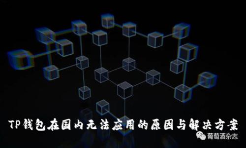 TP钱包在国内无法应用的原因与解决方案
