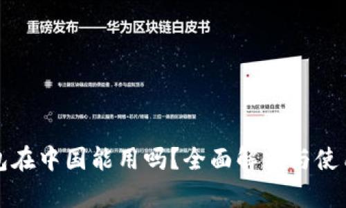 TP钱包在中国能用吗？全面解析与使用指南