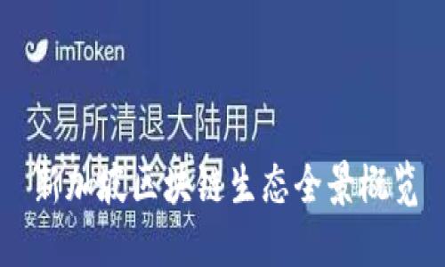 新加坡区块链生态全景概览