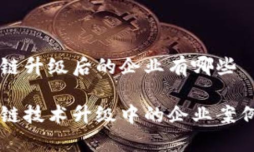 区块链升级后的企业有哪些

区块链技术升级中的企业案例分析