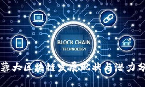 百慕大区块链发展现状与潜力分析