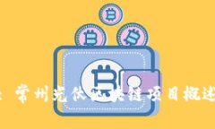 : 常州光伏区块链项目概述