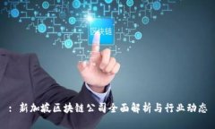 : 新加坡区块链公司全面解