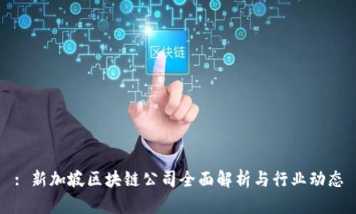 : 新加坡区块链公司全面解析与行业动态