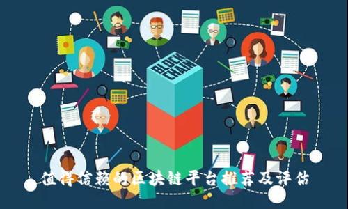 值得信赖的区块链平台推荐及评估