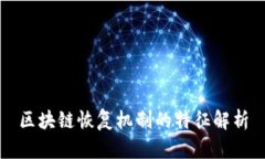 区块链恢复机制的特征解