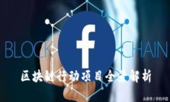 区块链行动项目全景解析