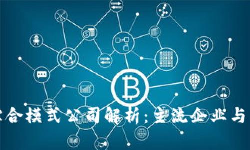 区块链综合模式公司解析：主流企业与创新案例