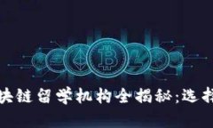 北美区块链留学机构全揭