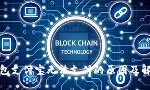 : TP钱包支付宝无法支付的原因及解决方案