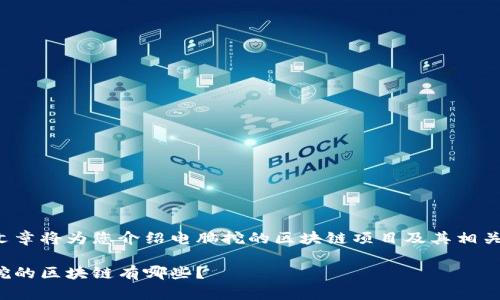 这篇文章将为您介绍电脑挖的区块链项目及其相关问题。

电脑挖的区块链有哪些？