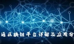 大通区块链平台详解及应