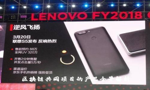 区块链共同项目的产品全景解析