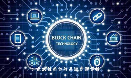 : 区块链共识的关键步骤详解
