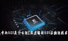 TP钱包中的BSV是什么链？深