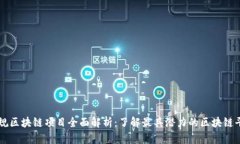 正规区块链项目全面解析