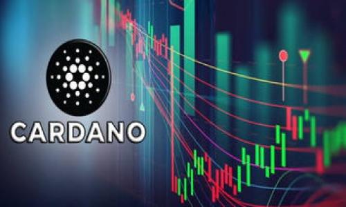 

TP钱包USDT转账授权详细指南