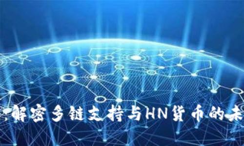 TP钱包：解密多链支持与HN货币的未来潜力