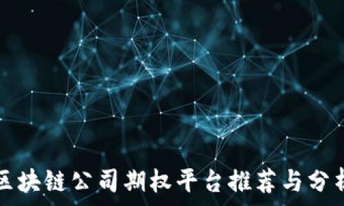   
区块链公司期权平台推荐与分析