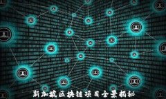 新加坡区块链项目全景揭